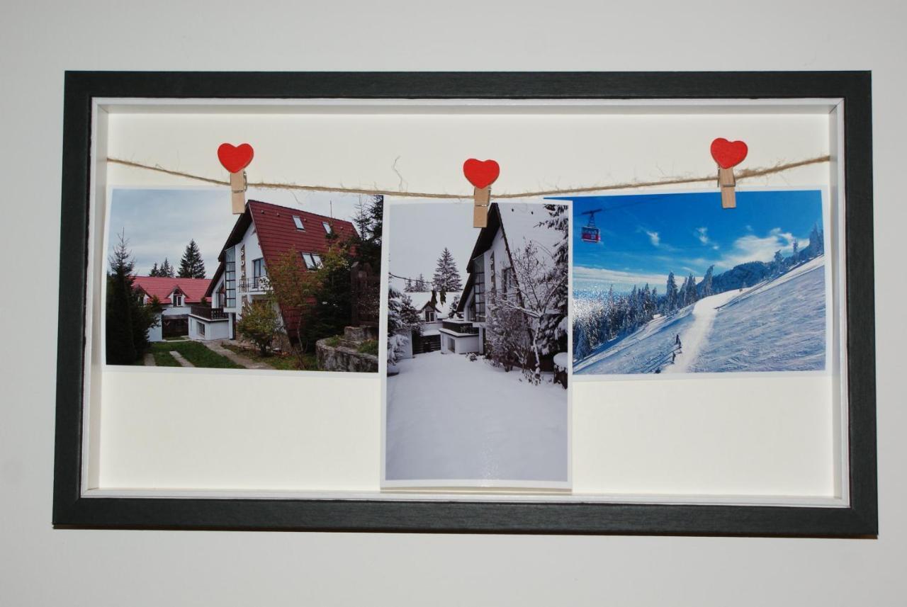 Vila Sorina โปยานาบราซอฟ ภายนอก รูปภาพ